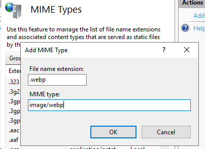 Enter .webp as the File name extension and image/webp as the MIME Type